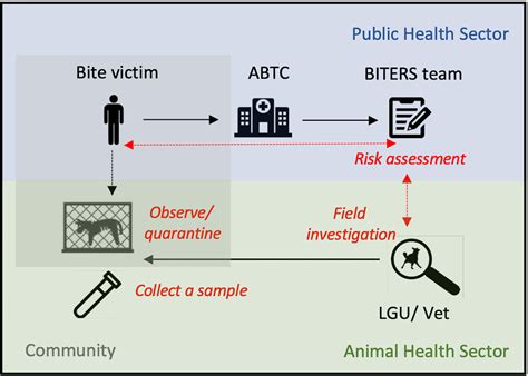 Animal Rabies Surveillance and case management.